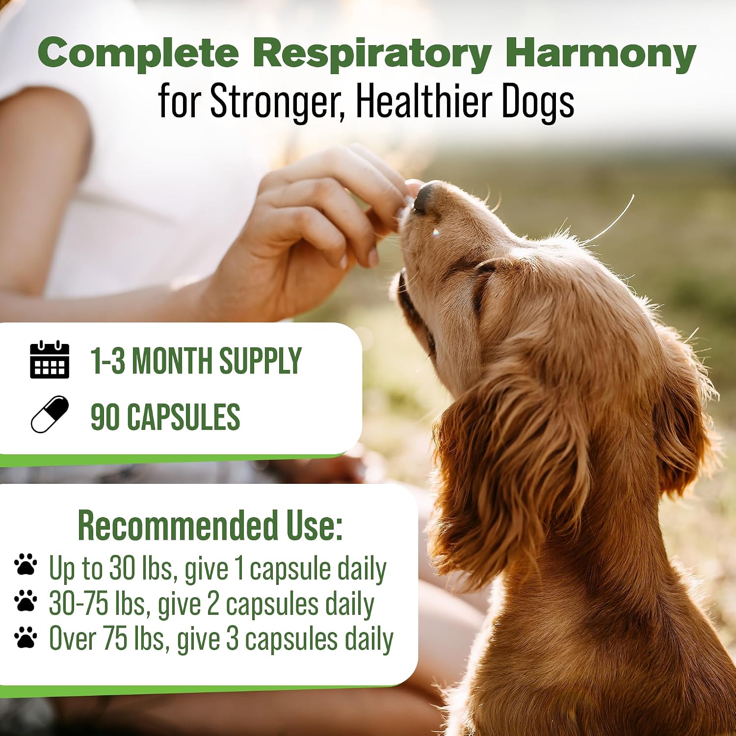 Silver Lining Herbs Dog Respiratory Support Capsules – Herbal Blend for Clear Breathing and Lung Health (90 Capsules) - görsel 4