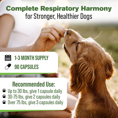 Silver Lining Herbs Dog Respiratory Support Capsules – Herbal Blend for Clear Breathing and Lung Health (90 Capsules)