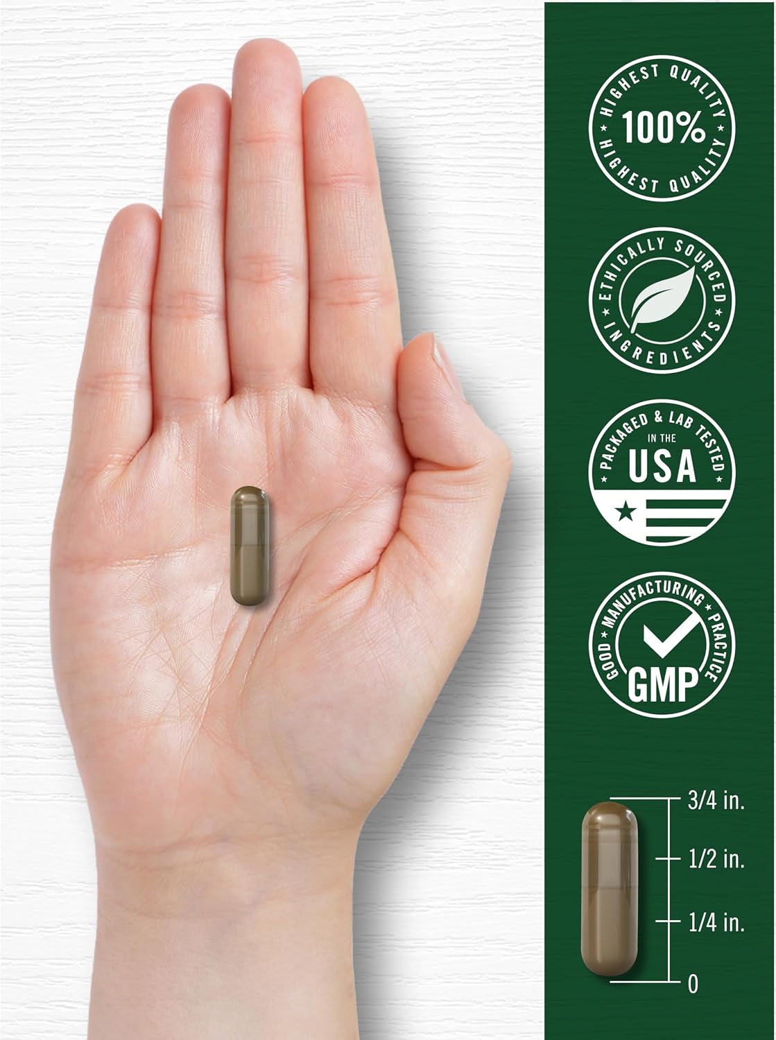 Carlyle Wild Lettuce Extract | 200 Capsules | Herbal Leaf Supplement | Non-GMO & Gluten-free - görsel 7