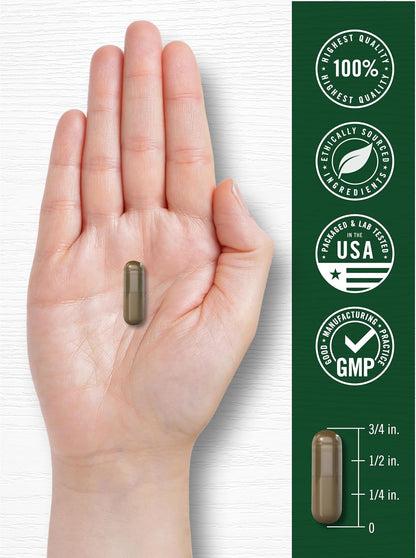 Carlyle Wild Lettuce Extract | 200 Capsules | Herbal Leaf Supplement | Non-GMO & Gluten-free