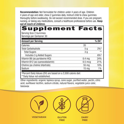 Nature's Way Kids Brain Supplement Gummies – Supports Healthy Brain Function, Lemonade Flavoured, 60 Gummies