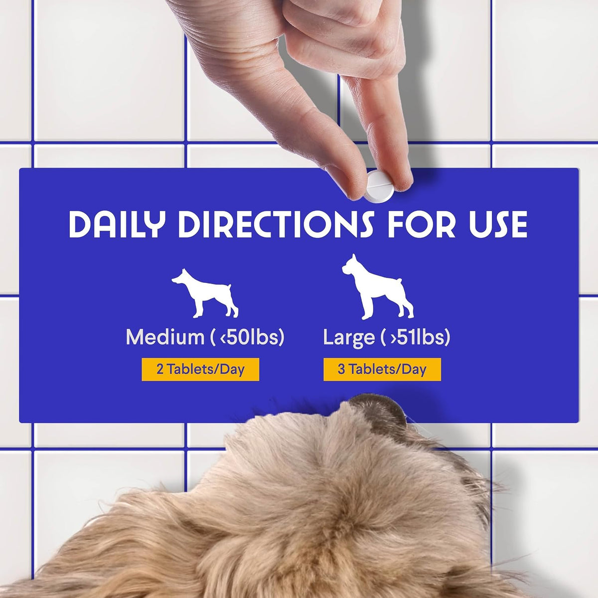 Wonder Paws B12 Supplement for Dogs – Vitamin B-12 for All Ages, Sizes and Breeds – Methylcobalamin, Cobalamin and Folate (5-MTHF) – 90 Beef Flavoured Chewables - görsel 5