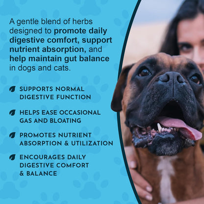 Animal Essentials Fresh Breath & Daily Digestion Supplement for Dogs & Cats, 60 ml - Organic Ginger & Mint, Alcohol Free