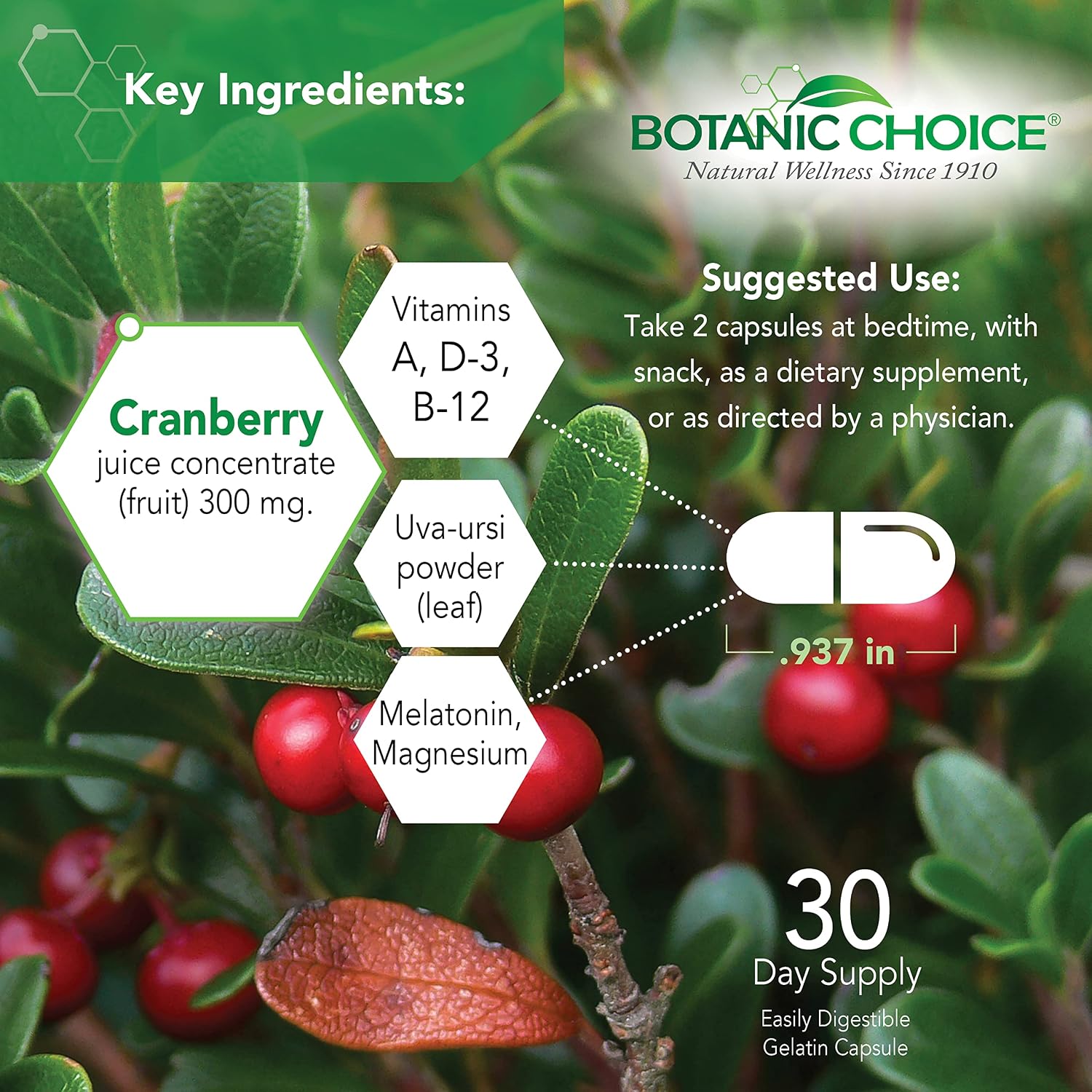 Botanic Choice Pro-Advanced Urinary Formula - Urinary Tract Health Support with Magnesium, Cranberry, Uva Ursi and Damiana - 60 Capsules - görsel 3
