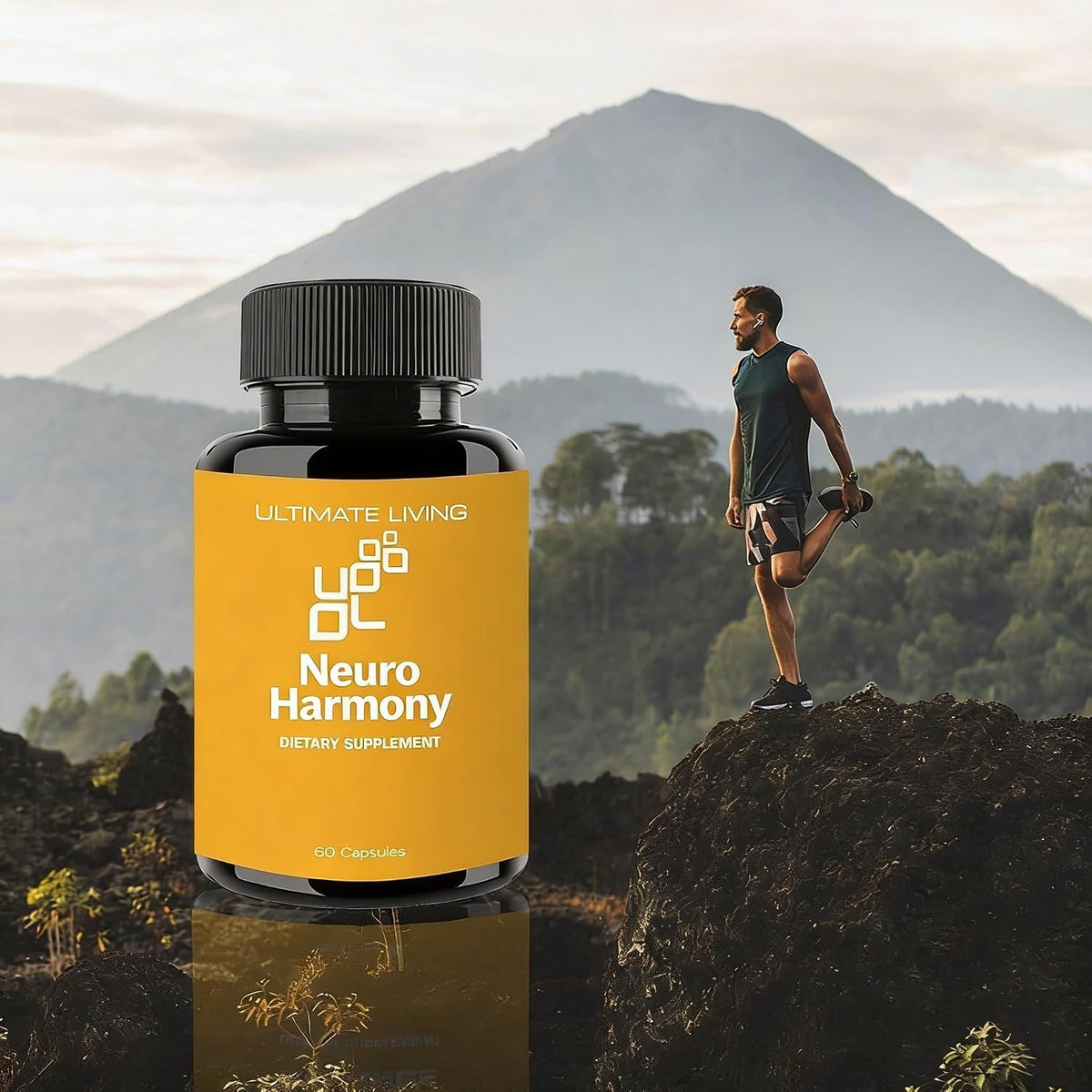 Neuro Harmony - Focus, Concentration and Mood Support - Non-GMO, Vegan, Gluten-Free - 60 Capsules - görsel 5
