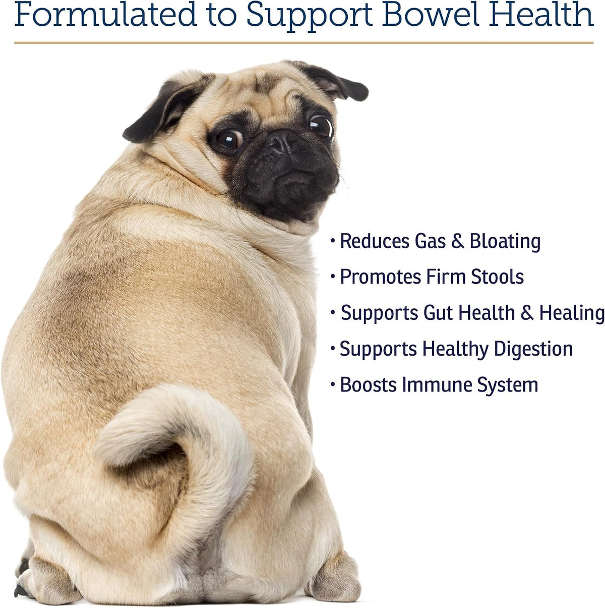 Rx Vitamins NutriGest - Dog Probiotics for Digestive Health & Cat Probiotic Powder - 132 g - görsel 4