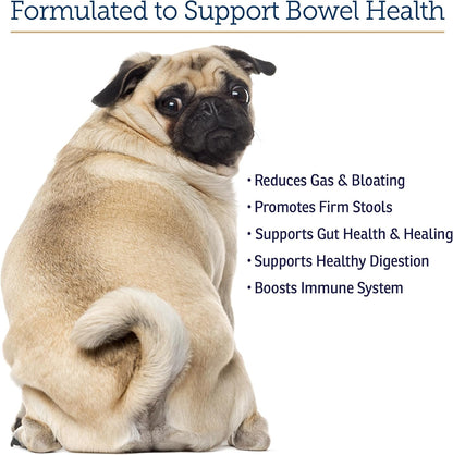 Rx Vitamins NutriGest - Dog Probiotics for Digestive Health & Cat Probiotic Powder - 132 g