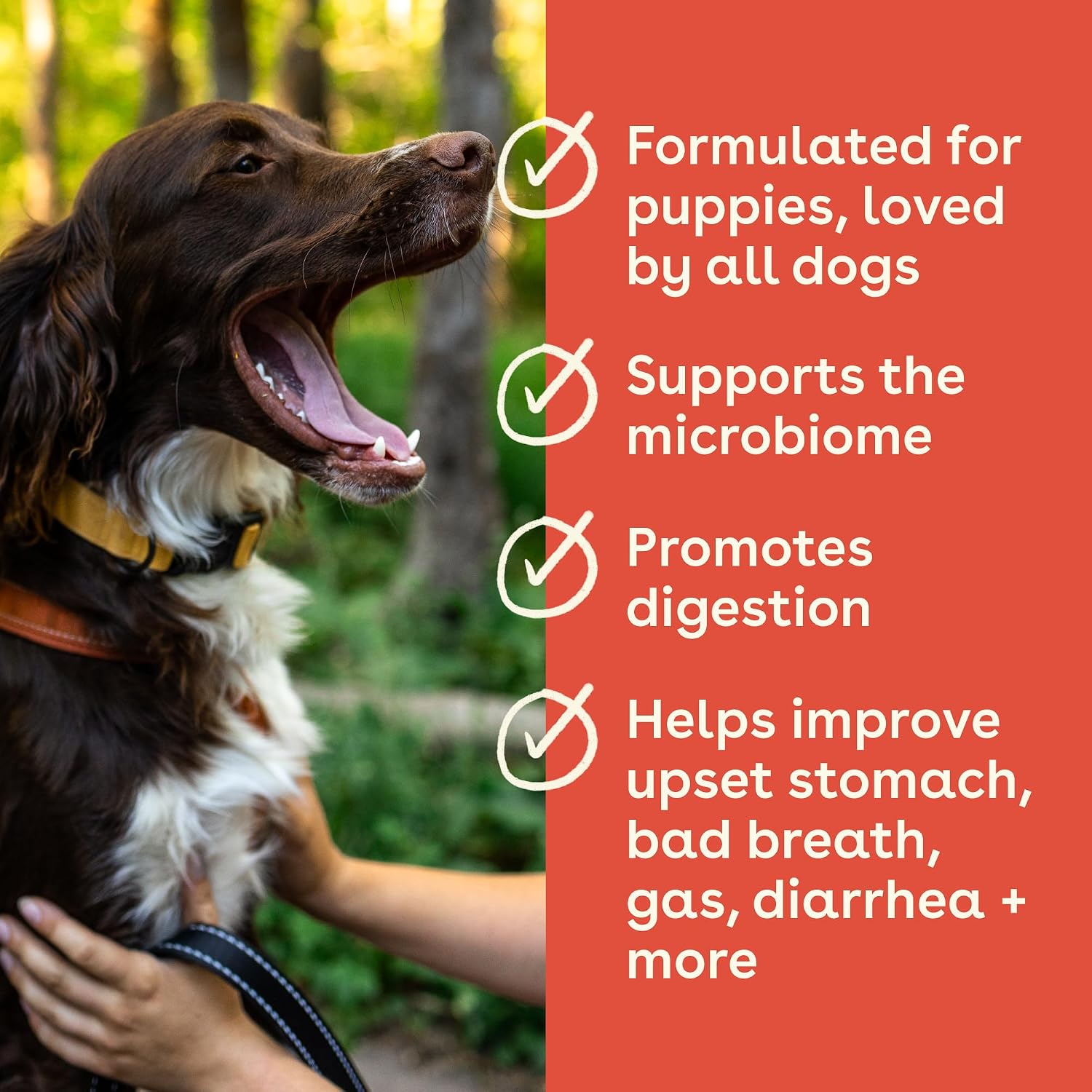 Pupford Gut Health & Immunity Supplement for Puppies and Adult Dogs – Peanut Butter and Jam, 180g (6.3 oz) - görsel 3
