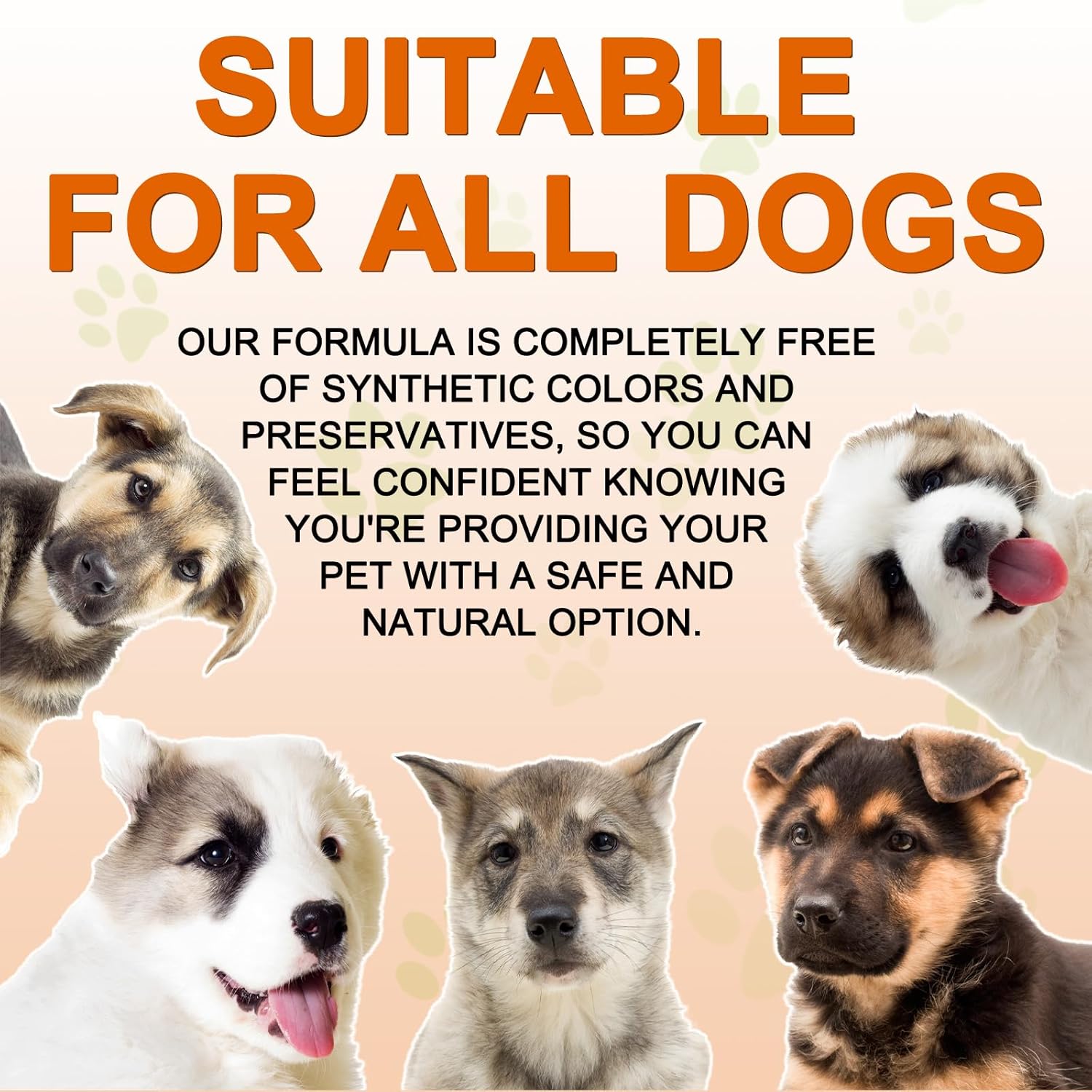 FSLHCY Turmeric for Dogs - 180 Count Duck Flavour Chewable Tablets - görsel 8