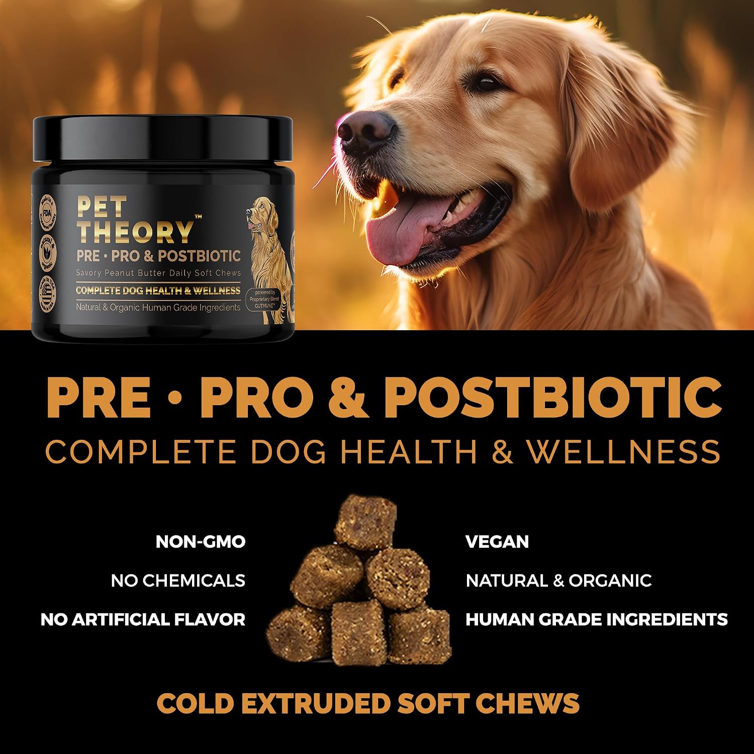 Pet Theory Probiotics for Dogs – Pre, Pro & Postbiotic Soft Chews for Digestive Health and General Wellbeing (100 Chews) - görsel 2