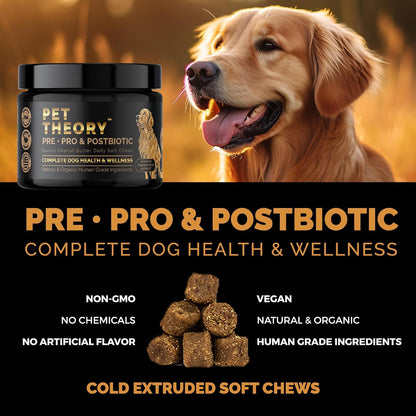 Pet Theory Probiotics for Dogs – Pre, Pro & Postbiotic Soft Chews for Digestive Health and General Wellbeing (100 Chews)