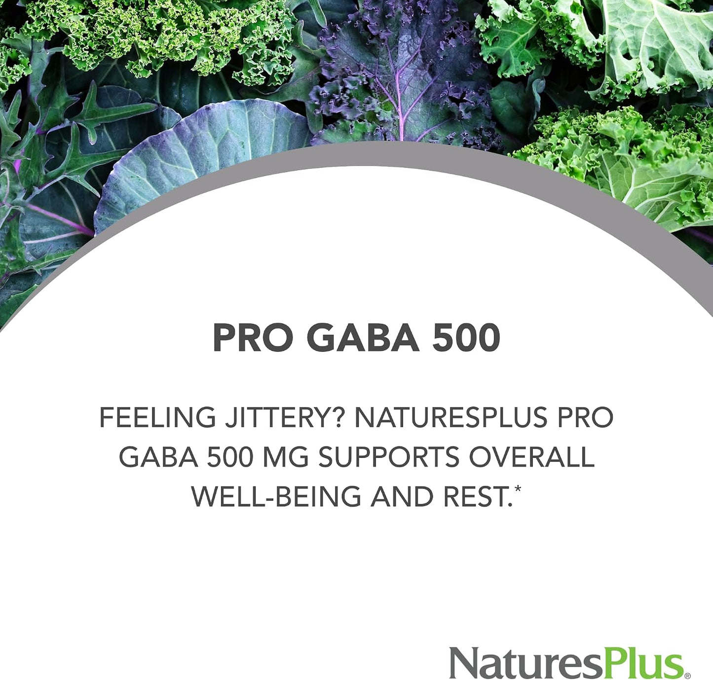 NaturesPlus PRO GABA 500 mg - 60 Capsules - görsel 2