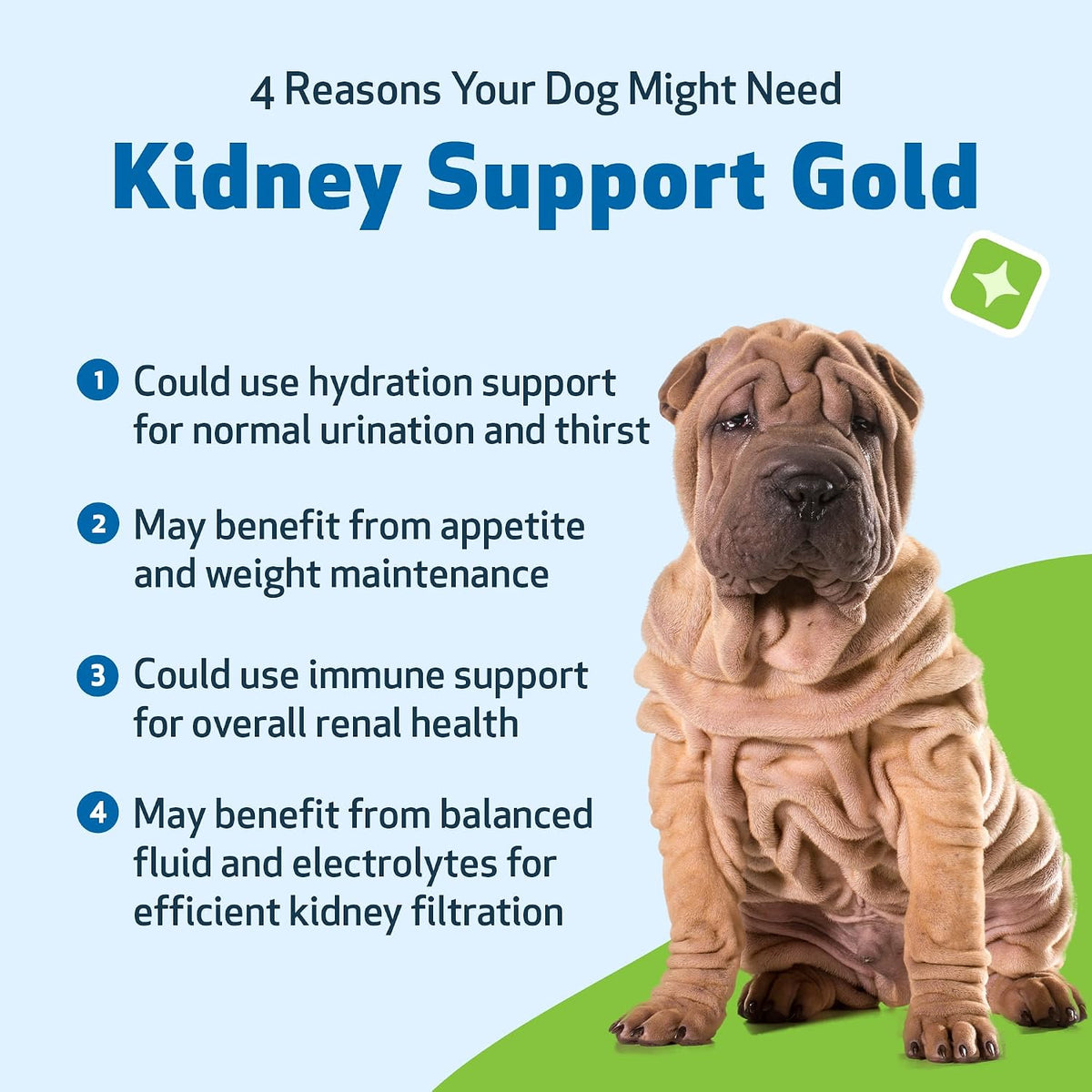 Pet Wellbeing Kidney Support Gold for Dogs - Herbal Supplement, 59 ml - görsel 9
