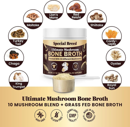 Beef Bone Broth for Dogs – High Protein Powder with Ten Organic Mushrooms and Collagen