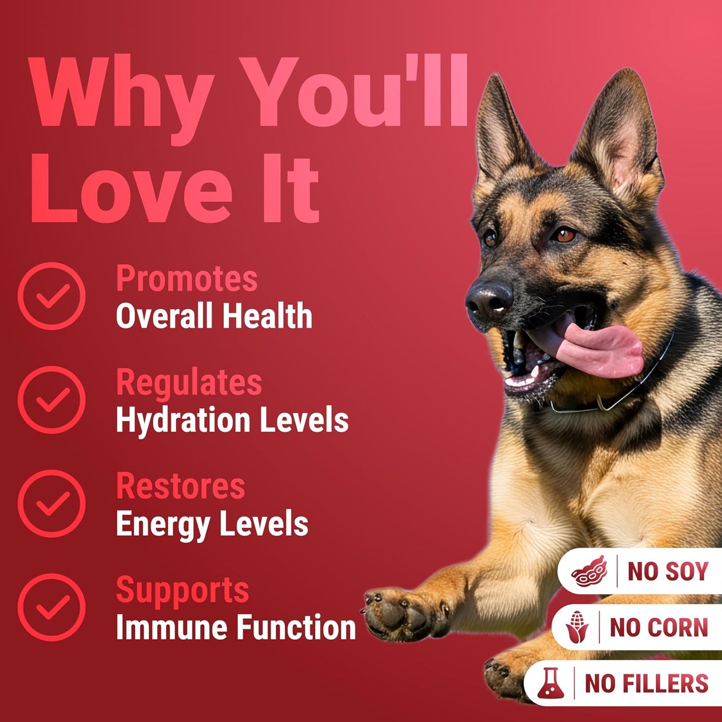 Turkey Tail Mushroom Powder for Dogs - 7 Mushroom Blend - Made in the US - görsel 3