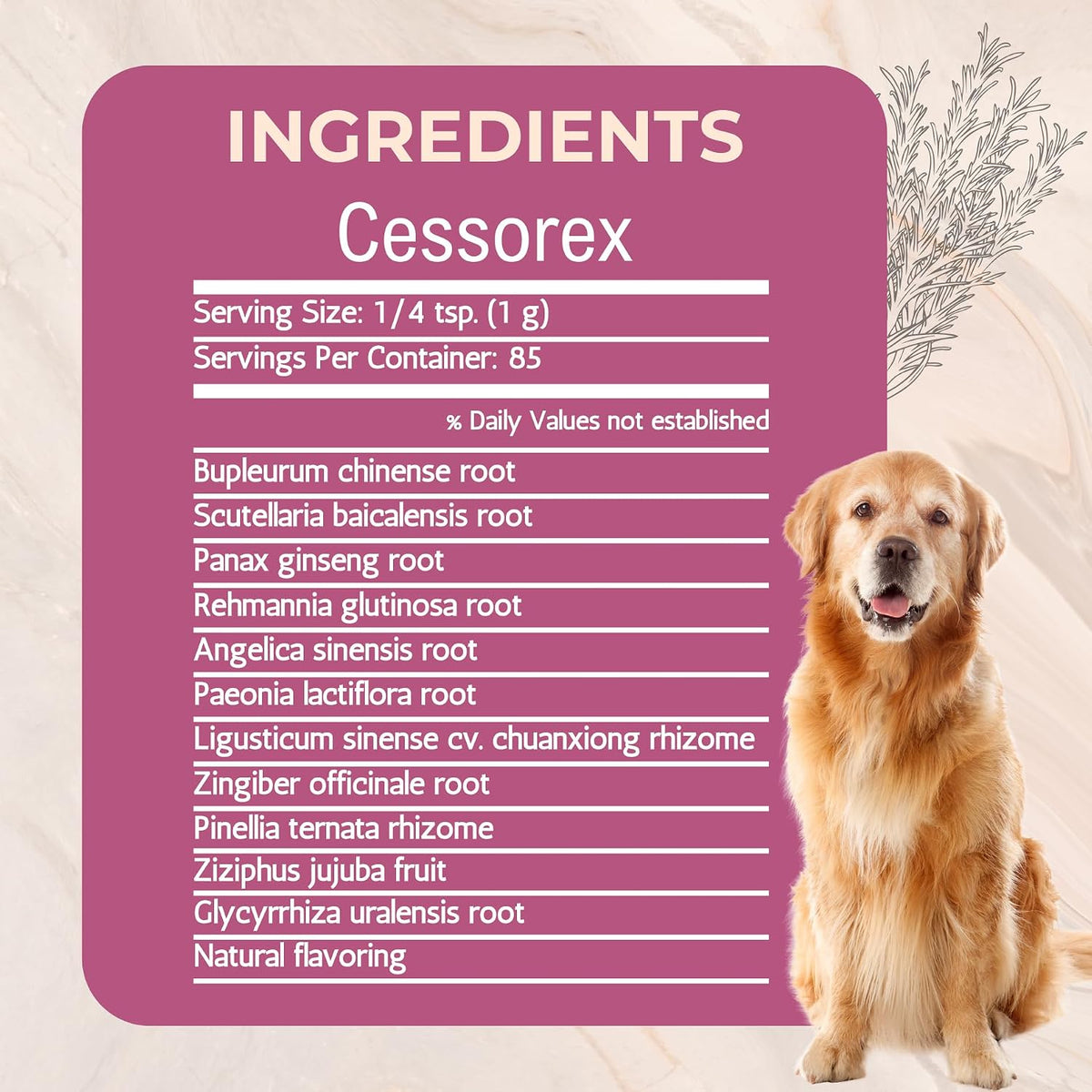 Cessorex Allergy Relief and Skin Immune Function Support Supplement for Dogs by Gold Standard Herbs, All-Natural Bupleurum Combination, 85 g Powder - görsel 3