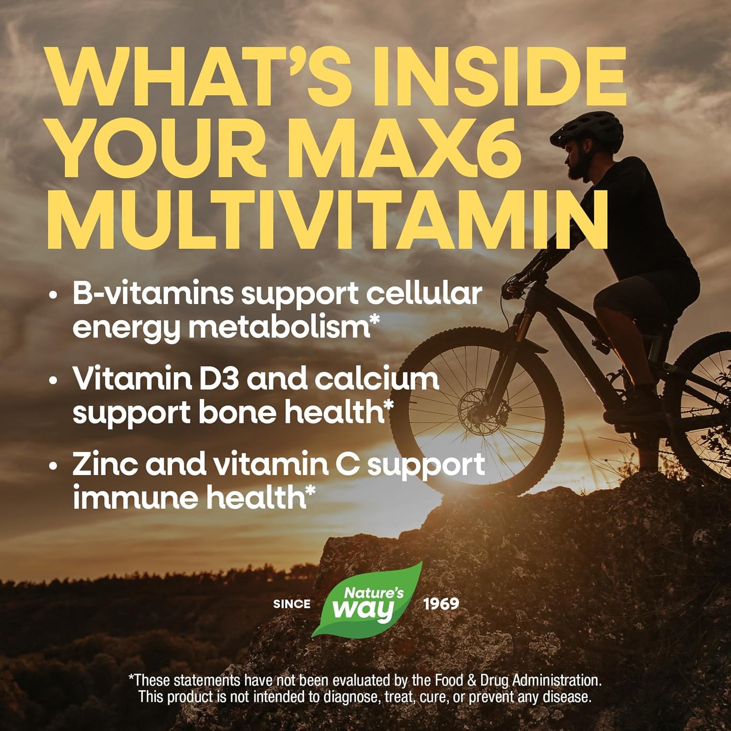 Nature's Way Alive! Max6 Potency Adult Complete Multivitamin with Iron, Methylated B12 & Folate, 90 Capsules - görsel 6