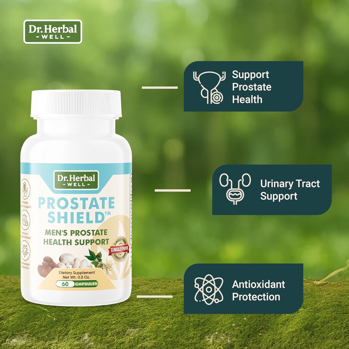 DR. HERBAL WELL Prostate Shield – Natural Herbal Support for Prostate & Immune Health - görsel 5