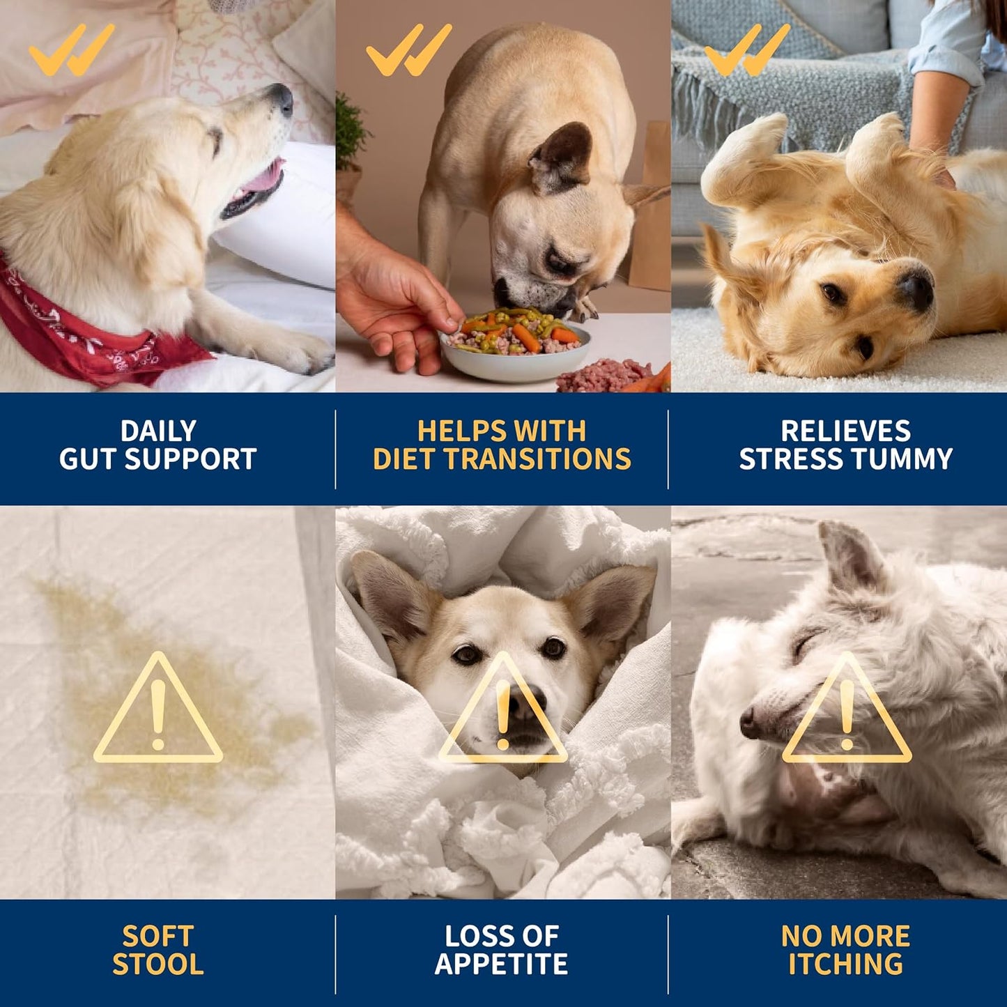 Dr. Kiwi O'dogcat Probiotics for Dogs - görsel 4