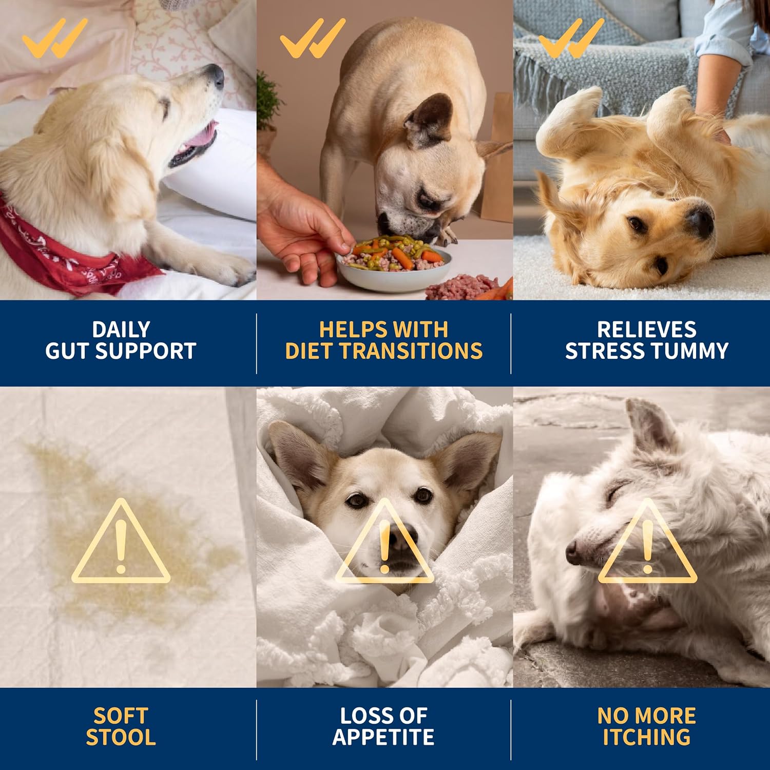 Dr. Kiwi O'dogcat Probiotics for Dogs - görsel 4
