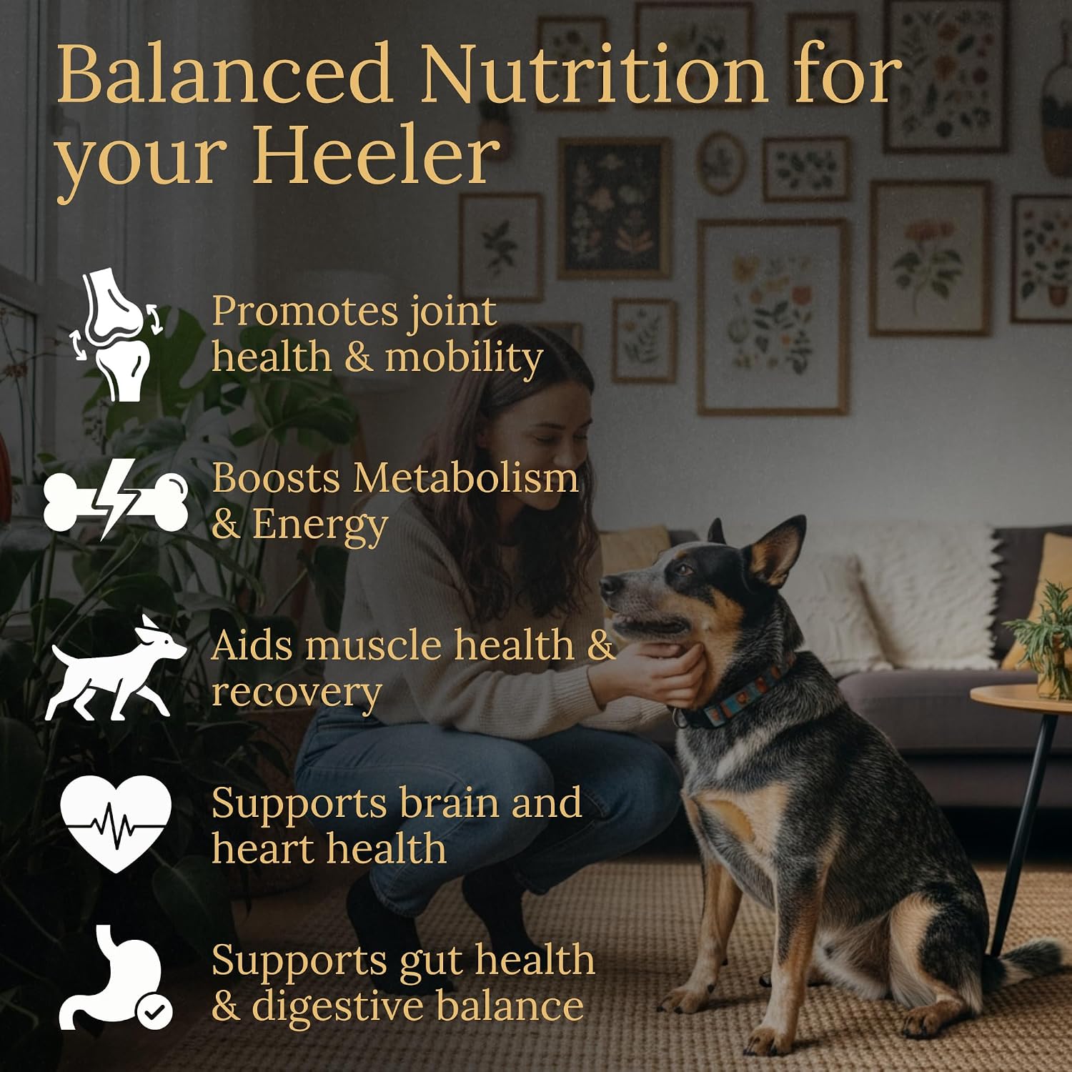 Prestige Breed Australian Cattle Dog Multivitamins, 90 Count, Real Bacon Flavour - görsel 2