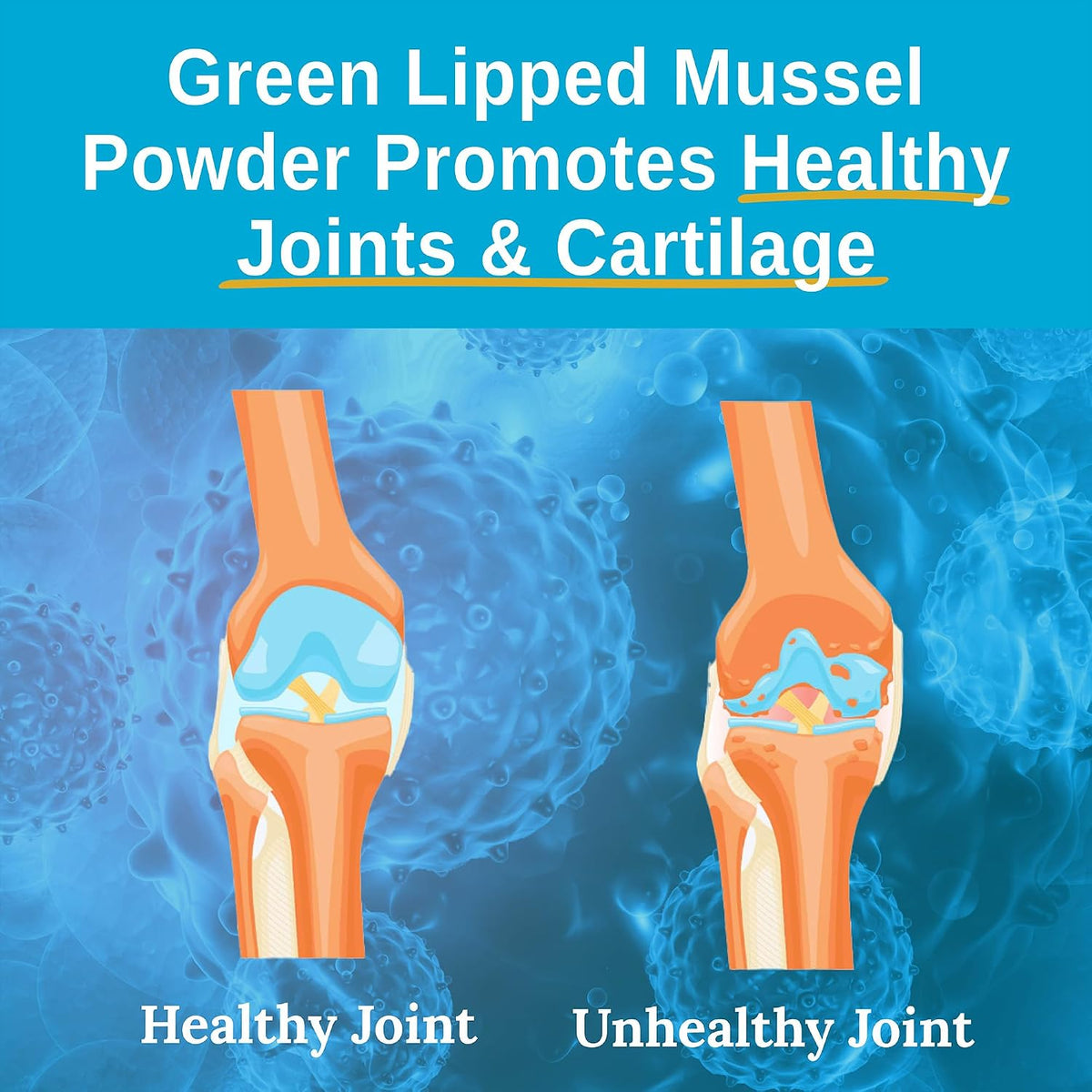 Xtend-Life Green Lipped Mussel Powder - Extra Strength 2400mg for Joint Health & Mobility Support, 120 Capsules - görsel 7