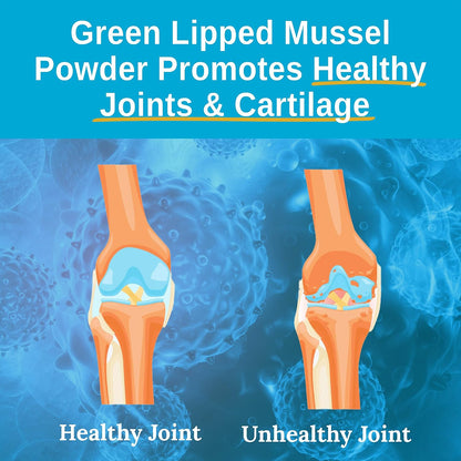 Xtend-Life Green Lipped Mussel Powder - Extra Strength 2400mg for Joint Health & Mobility Support, 120 Capsules