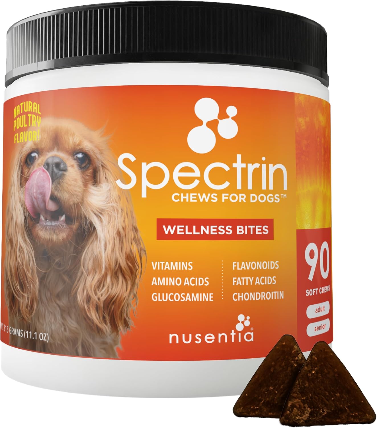 Spectrin Wellness Chews - 8-in-1 Dog Multivitamin with Glucosamine, Chondroitin & Omega-3 (90 Chews) - görsel 1