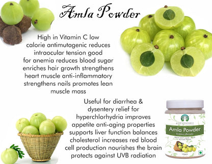 AYURVEDASHREE Amla Powder (Amalaki) - Raw, Vegan, 100g
