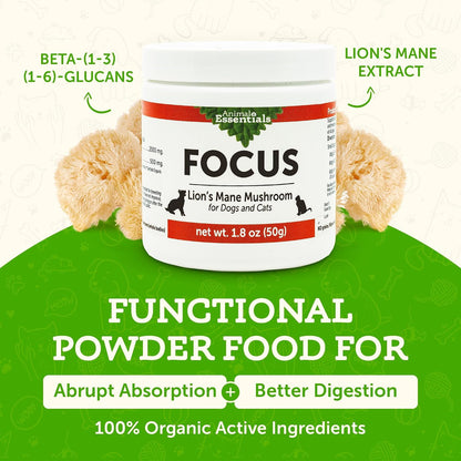 Focus Lion's Mane Mushroom Supplement for Dogs & Cats