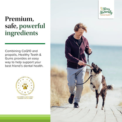 EuroPharma (Terry Naturally) Healthy Teeth & Gums 60 Chewable