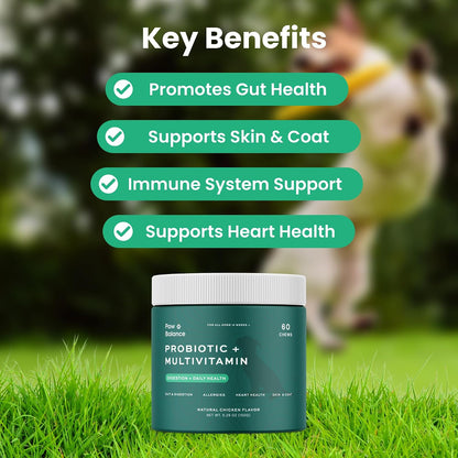 Paw Balance Dog Probiotics and Multivitamin Chews – Digestive Health, Immune Support, Seasonal Sensitivity Relief, 60 Soft Chews
