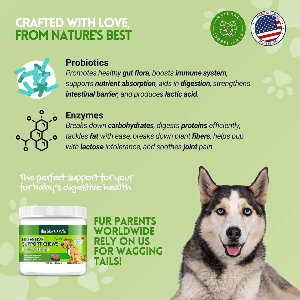 Herbion Pets Digestive Support Chews – Probiotics & Enzymes for Dogs, 120 Soft Chews - görsel 3