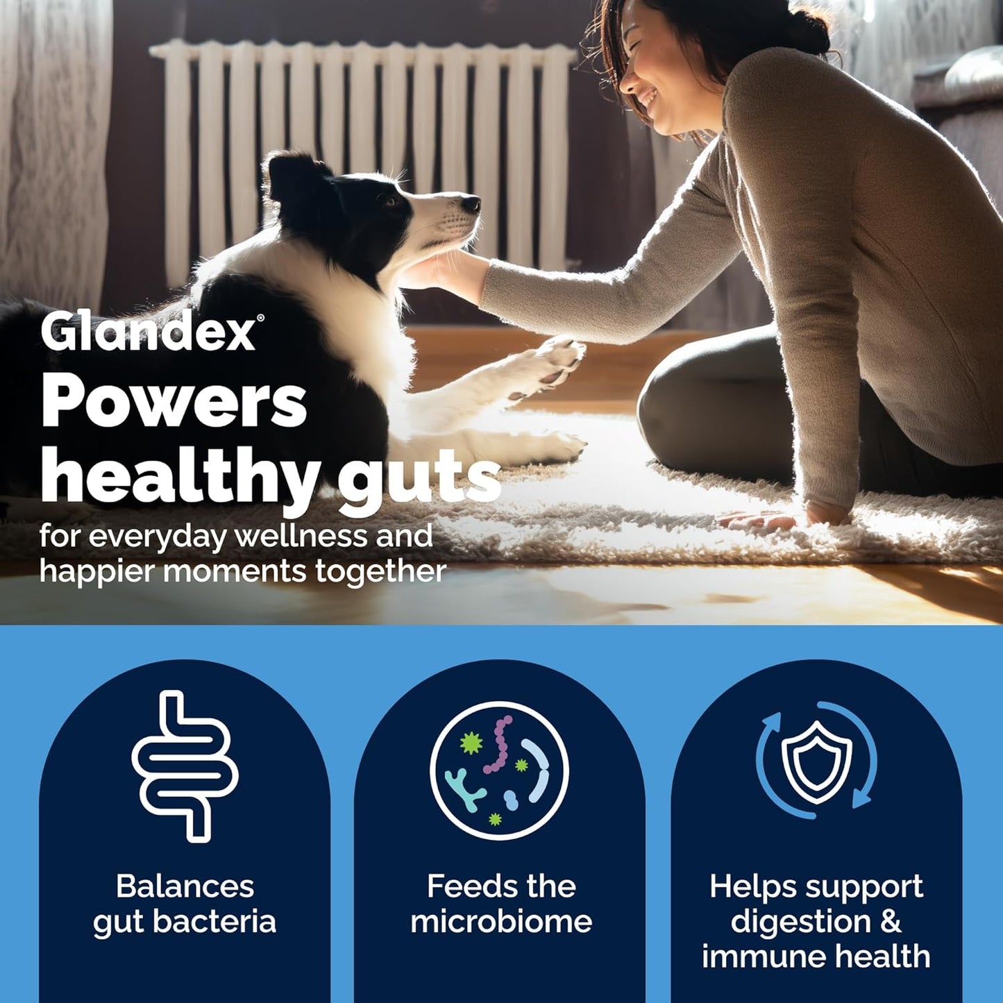 Vetnique Glandex Dog Probiotic Chews, Daily Probiotics for Dogs 5 Strains, Prebiotics & Digestive Enzymes for Gut and Immune Health, Vet Formulated for Occasional Diarrhoea (120ct Chews) - görsel 2