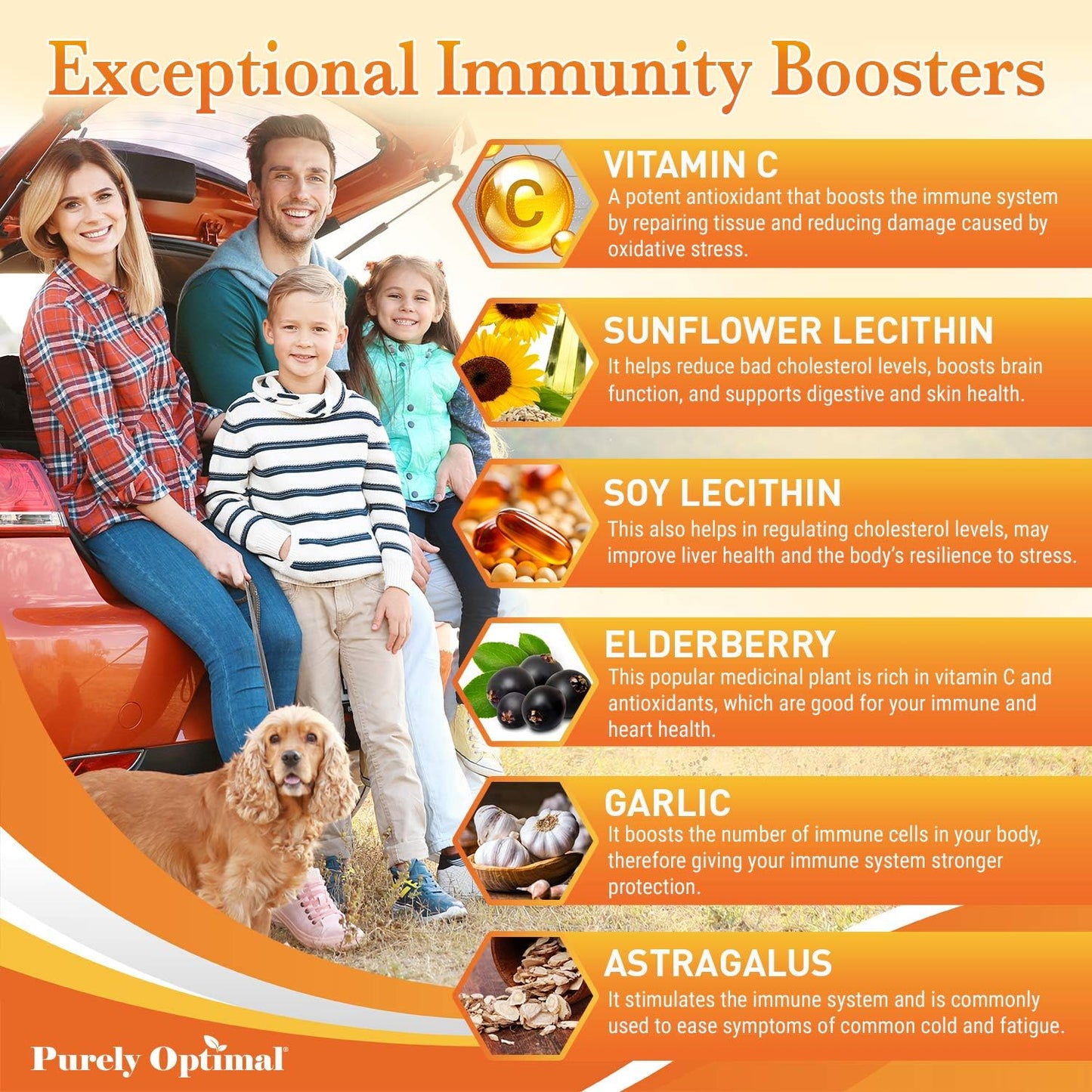 Purely Optimal Premium Liposomal Vitamin C Supplement – High Absorption, Fat Soluble Ascorbic Acid 1000mg for Immune Support, Non-GM, 90 Capsules - görsel 5