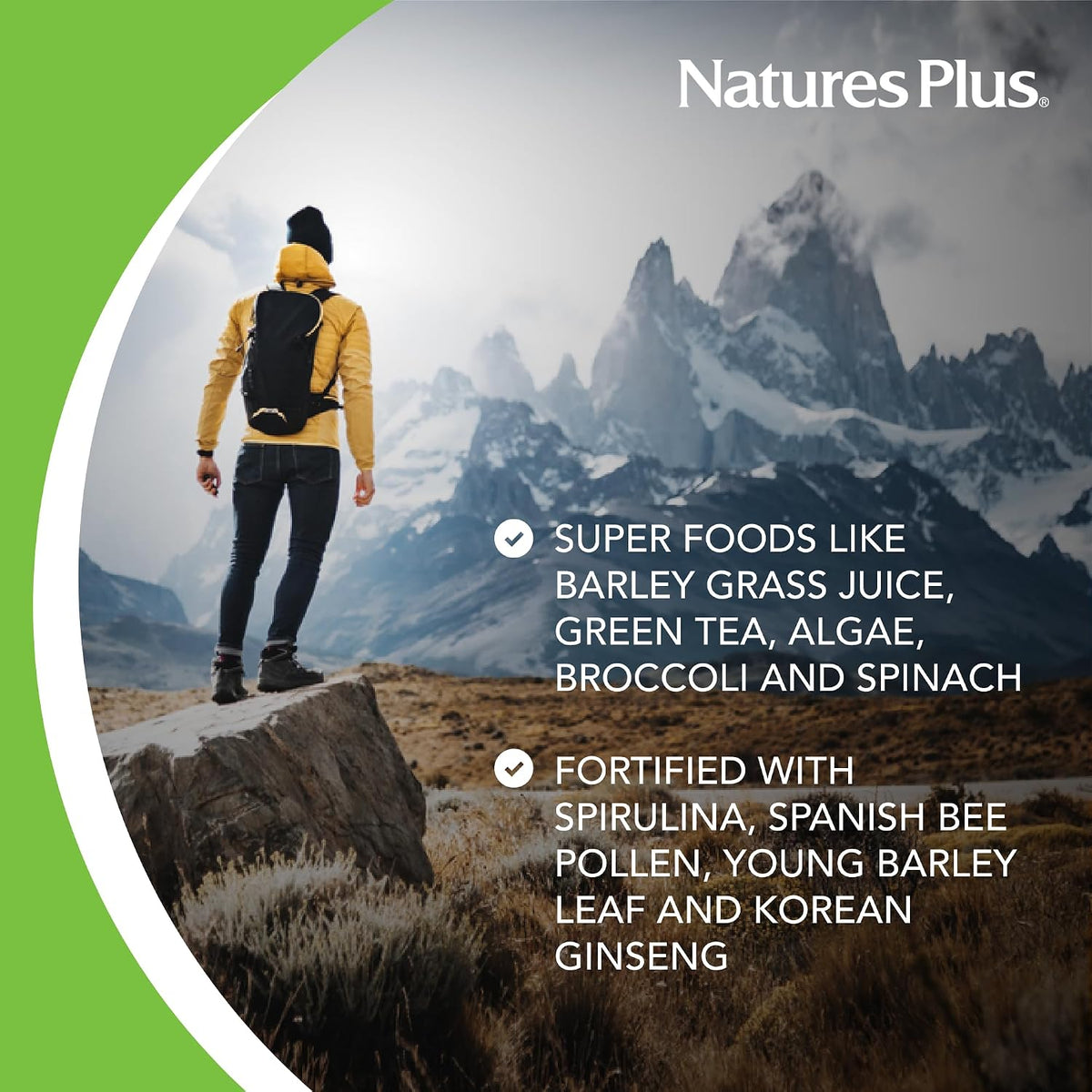 NaturesPlus FRUITEIN Revitalising Green Foods Shake – Plant-Based Protein & Superfood Mix, 590 g (16 Servings) - görsel 4