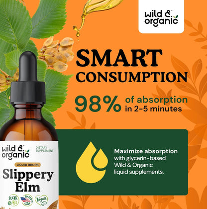 Wild & Organic Slippery Elm Drops – Vegan, Alcohol-Free Liquid Extract, 60 ml