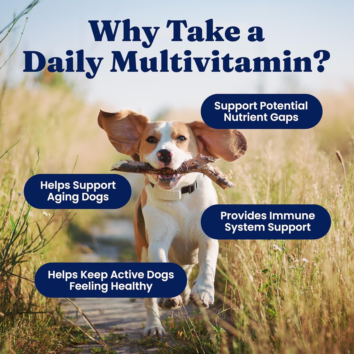 Solid Gold Dog Multivitamin - Soft Chews - All-in-One Support with Vitamin C, B12, Probiotics & Antioxidants - Bacon Flavour (120 Count) - görsel 3