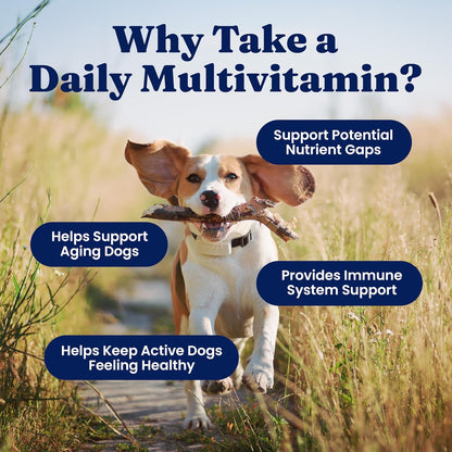 Solid Gold Dog Multivitamin - Soft Chews - All-in-One Support with Vitamin C, B12, Probiotics & Antioxidants - Bacon Flavour (120 Count)