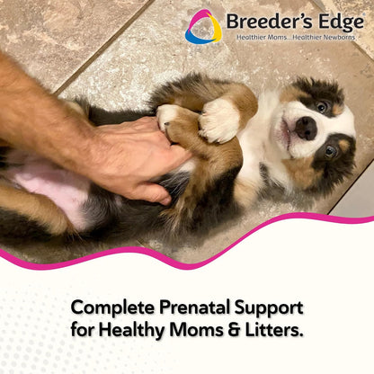 Breeder's Edge Oxy Mate Prenatal Soft Chews for Dogs and Cats