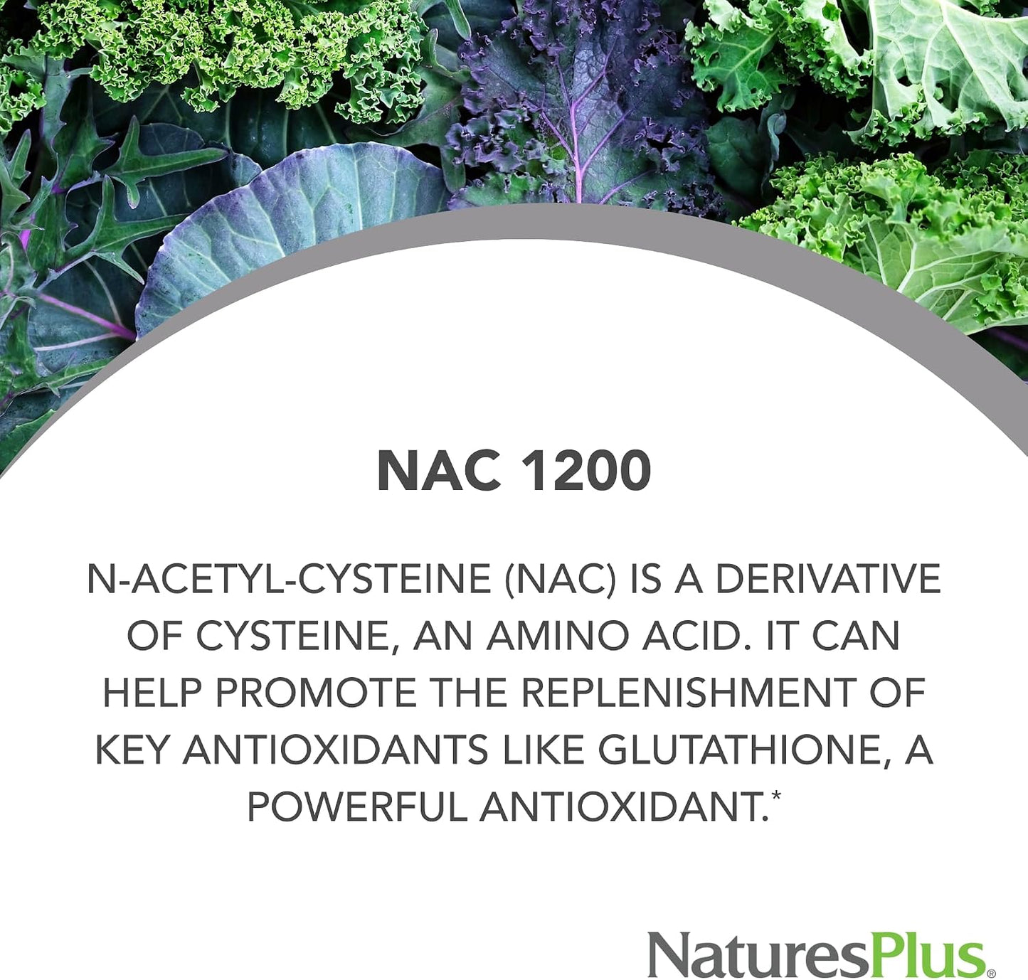 NaturesPlus PRO NAC 1200 mg - 60 Capsules - görsel 2