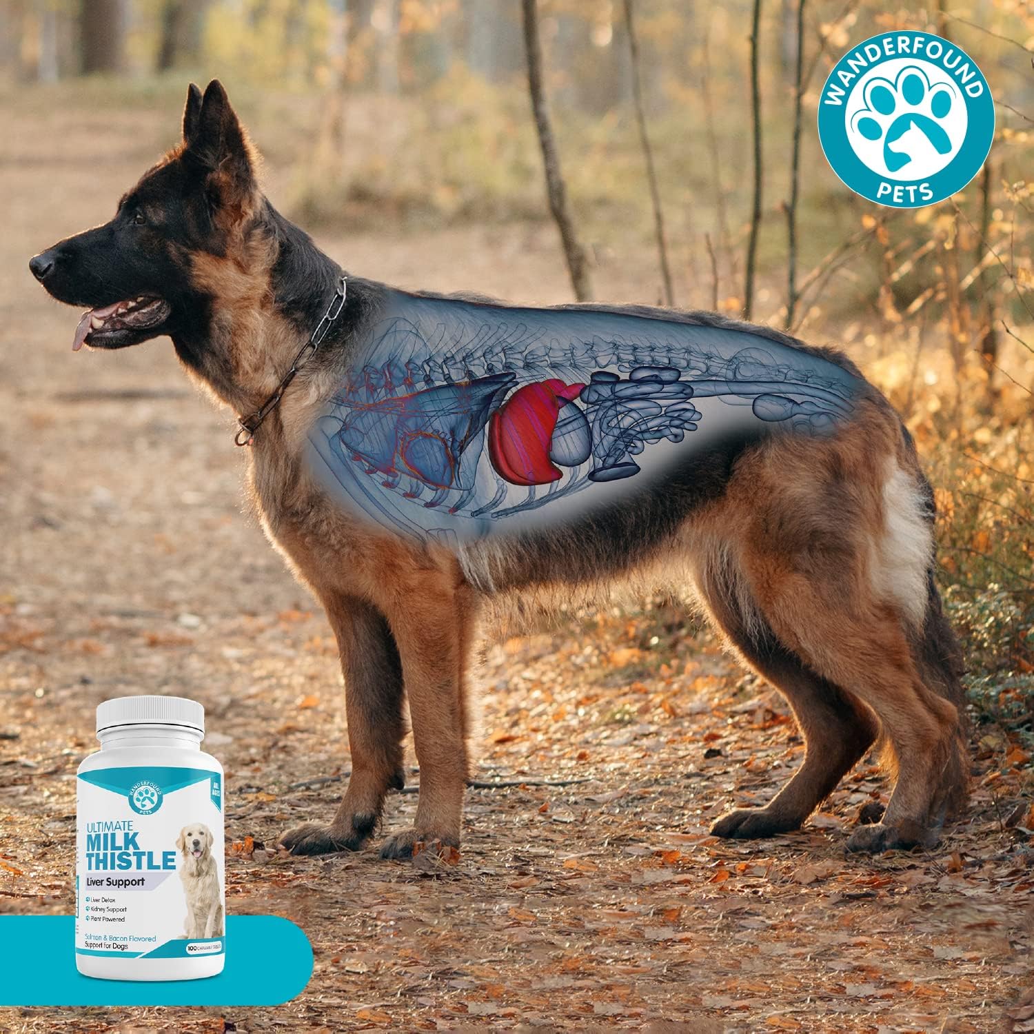 Wanderfound Pets Milk Thistle for Dogs – Tasty Salmon & Bacon Flavoured Herbal Supplement for Liver & Kidney Function – Manufactured in the USA – 100 Chewable Tablets - görsel 8