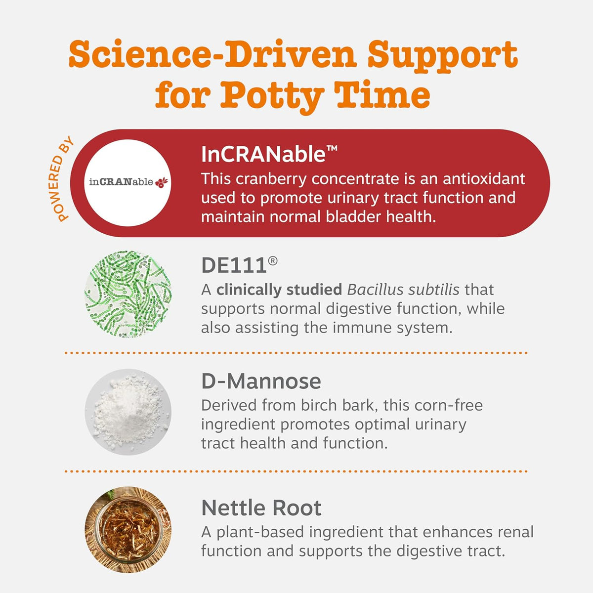 Zesty Paws Senior Cranberry Supplement for – Digestive Wellness: Marshmallow root may help soothe and support – Image 3