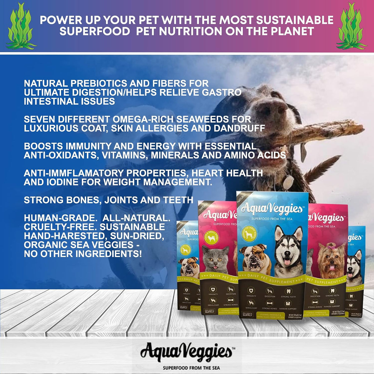 Superfood from the Sea for Pets – Daily Multivitamin Packs for Small Dogs & Cats (75g, 30 Sachets) - görsel 3