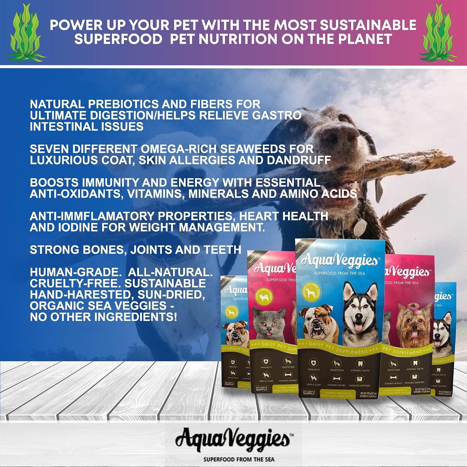 Superfood from the Sea for Pets – Daily Multivitamin Packs for Small Dogs & Cats (75g, 30 Sachets) - görsel 3
