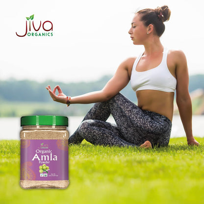 Jiva Organics Organic Amla Powder 567g - Pure, Non-GMO, Gluten-free, Raw Amalaki Powder from India