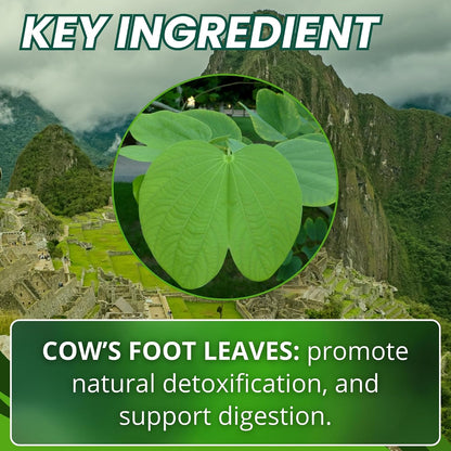 Hanan Pata de Vaca 100 Capsules – Pure Cow's Foot Leaves (Bauhinia forficata) for Detox & Digestive Support