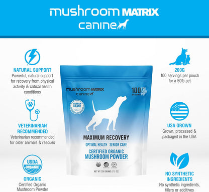 Om Mushroom Matrix Maximum Recovery Mushroom – Encourages joint comfort – Many pet owners report less stiffness – Image 3