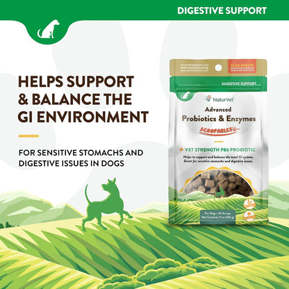 NaturVet Scoopables Advanced Probiotics for Dogs - Chewable Dog Probiotics & Digestive Enzymes - Hickory Smoked Bacon Flavour (312 g)