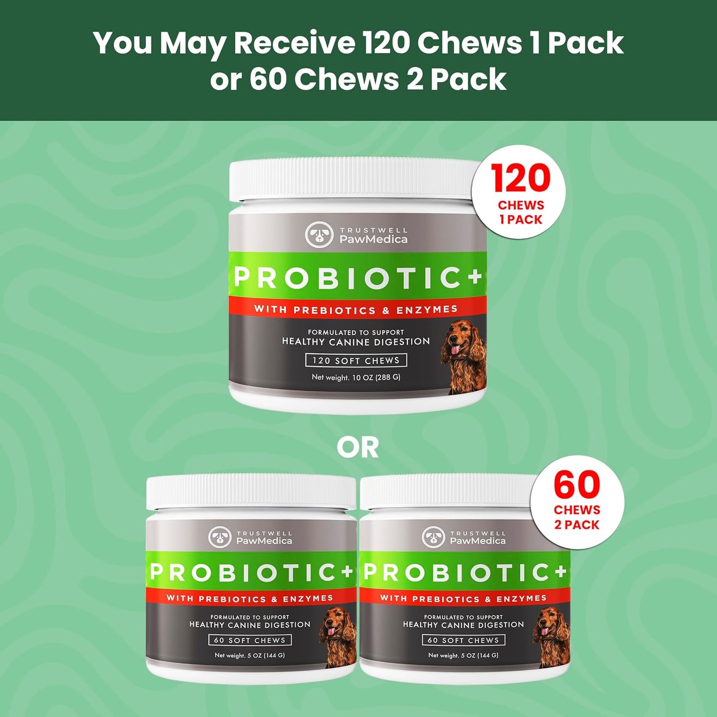 PawMedica Dog Probiotics and Digestive Enzymes, Probiotics for Dogs Made in USA, Pet Probiotic Chews for Dogs, Prebiotics & Probiotic Dog Digestive Support, Probiotic Treats - 120 Dog Probiotic Chews - görsel 8